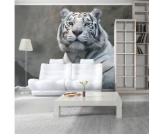 murando – Papier peint intissé 100x77 cm - Papier peint - Trompe l oeil - Tableaux muraux - déco – 100403-99