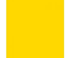 Sticker Mural Personnalisable pour Fille Motif Ballerine Disney Petite Princesse, Chaussures de Ballet, Baguette et étoile, Panneau Vinyle, Jaune Moyen, Medium (580x150mm)