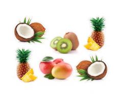 Set de 6 fruits noix coco ananas kiwi mangue exotic logo 4336 sticker cuisine frigo