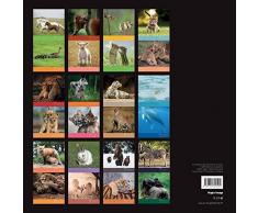 Calendrier mural Bébés animaux 2017