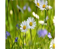 Sticker Boite aux lettres Champ de marguerites 30X30cm SABAL0066 (1 sticker boite aux lettres)