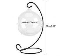 Fdit Vase en Verre Suspendu Pot de Fleurs Plantes avec Cadre en Fer Grand Terrarium pour Plantes à air succulentes planteurs décoration Bureau Maison