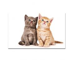 AFFICHE Animaux Mignon A3 Poster (Chatons (Kittens))