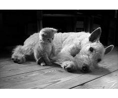 1art1 Chats Et Chiens Poster Amis, Fox-Terrier Et Petit Chaton (91 x 61 cm)