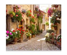 murando Papier peint intissé 400x280 cm Décoration Murale XXL Poster Tableaux Muraux Tapisserie Photo Trompe loeil Wand -Italie Toscane City Ville Fleurs d-B-0136-a-a