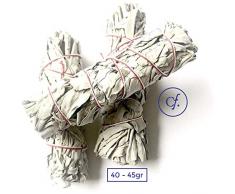 Chill French | Sauge Blanche 40/45gr | Salvia Apiana de Californie à brûler | Encens 100% Naturel, Aucun Traitement | Sauge Amérindienne pour Fumigation Purification - L.13 x l.3 cm (3 bâtonnets)