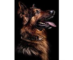 Poster danimaux de berger allemand en noir et blanc et images imprimées de belles peintures murales sur toile sans cadre 3_40 x 50 cm