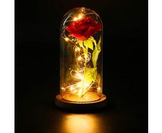 FunPa Rose Eternelle sous Cloche, Rose Enchantée Inspiré par “Rose Belle et la Bete ” Soie Rose en dôme Bois pour Mariage danniversaire de la Saint-Valentin Noël Cadeau de fête des mères (1 Pcs)