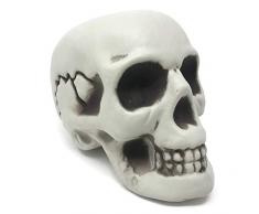 The Twiddlers Crâne déco Halloween – Prop Squelette de Table pour Les fêtes d’Halloween – Accessoire tête de Mort pour Les soirées Décoration