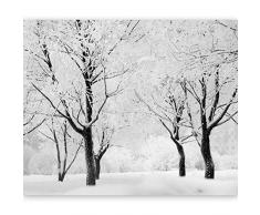 murando Papier peint intissé 300x231 cm Décoration Murale XXL Poster Tableaux Muraux Tapisserie Photo Trompe l'oeil nature 100403-164