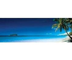 1art1 Plages Midi Poster - Plage, Palmiers Le Matin (91 x 30 cm)