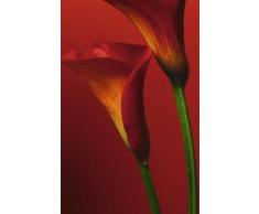 Poster 406 mural géant 183 x 254 cm Red Calla Lilies en 4 parties grandes dimensions