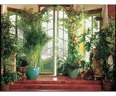 Papier Peint Photo Mural-Jardin d´Hiver-(300P)-350x260cm-7lés-COLLE Inclus!-XXL Poster Géant Decoratif Skyline City Londres Paris Ville USA Nature Paysage île Caraïbes Italie île Pierre Fleurs