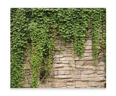 murando Papier peint intissé 400x280 cm Décoration Murale XXL Poster Tableaux Muraux Tapisserie Photo Trompe loeil mur noyaux mur lierre b-A-0173-a-d
