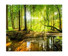 decomonkey | Papier peint intissé Foret Nature 400x280 cm Trompe l oeil | Déco Mural Tableaux Muraux Photo Paysage