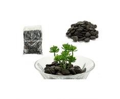 Wadiga Galets Décoratifs Noirs pour Aquarium, Terrarium ou Pot Plantes