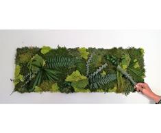 CALY DESIGN VEGETAL Tableau Cadre Mur VÉGÉTAL STABILISE XXL 90X30 CM