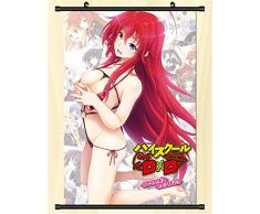 ZYAAO Grand Poster en Rouleau/Kakemono de High School DXD Fait de Tissu,60X90cm