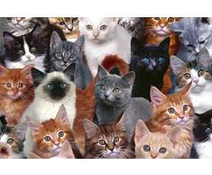 A1 | Kittens Poster Art Chats Imprimer 60 x 90 cm Chaton Cat 180gsm 8952