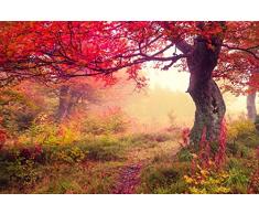 Papier Peint Photo Mural-ARBRE de LAUTOMNE-(376p)-350x260cm-7lés-COLLE INCLUS!-XXL Poster Géant Decoratif Skyline City Londres Paris Ville USA Nature Paysage île Caraïbes Italie Pierre Fleurs