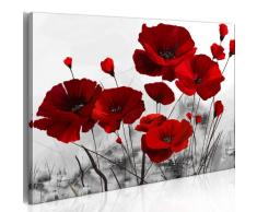 B&D XXL murando Impression sur Toile intissee 100x70cm 1 Piece Tableau Tableaux Decoration Murale Photo Image Artistique Photographie Graphique Fleurs 0107-12