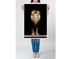 Best for Home Artprints – Photographie danimaux – Lion dans lobscurité – Impression Photo de qualité exceptionnelle, Poster 60 x 90 cm - enroulé, Poster 90x60cm