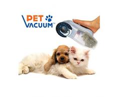 TIRELIRE CAMOUFLéE DANS LIVRE DICTIONNAIRE