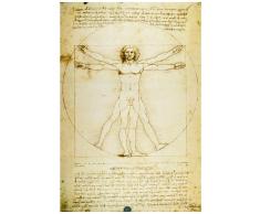 1art1 Leonardo Da Vinci Poster - lhomme Vitruvien VI (91 x 61 cm)