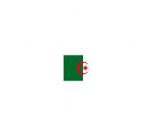 Drapeau Algerie en tissu 90 cm x 150 cm pavillon algerien