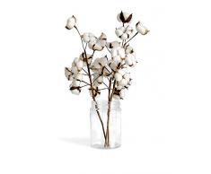 Ruiuzi Fleurs Sechees Naturelles Coton Tige Naturelles Coton Branche Artificielle Coton Fausses Plantes Décoration Balcon Maison Table Composition Florale sans Vase (3 Pcs Steams)