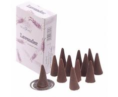 Stamford Cônes d'encens - Lavande 37162