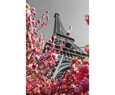 Poster Paris Tour Eiffel (61cm x 91,5cm)
