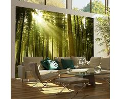 Papier peint intissé 400x309 cm - Top vente - Papier peint - Tableaux - muraux - déco - XXL - 400x309 cm - nature 100403-1