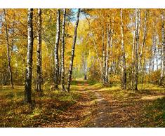 Papier Peint Photo Mural-FORÊT DAUTOMNE -332p)-350x260cm-7lés-COLLE INCLUS!-XXL Poster Géant Decoratif Skyline City Londres Paris Ville USA Nature Paysage île Caraïbes Italie île Pierre Fleurs