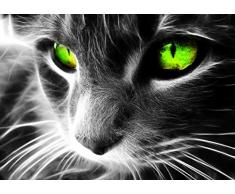 Poster Chat Gris Yeux vert