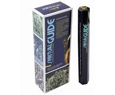 Padmini Lot de 6 boîtes de 20 bâtonnets dencens spirituels