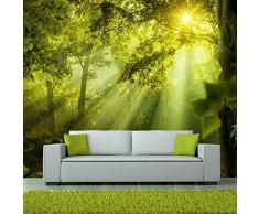 murando Papier peint intissé 200x140 cm Décoration Murale XXL Poster Tableaux Muraux Tapisserie Photo Trompe loeil Foret nature paysage c-A-0077-a-a