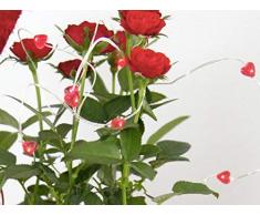 Guirlande lumineuse lED à pile 12–string coeurs rouge