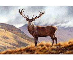 Close Up Poster Cerf en Montagne (91,5cm x 61cm)
