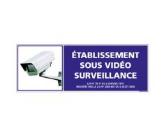 Etablissement sous Vidéo Surveillance - Adhésif Autocollant Sticker - Dimensions 210 x 75 mm - Garantie 10 ans - Panneau vidéo surveillance