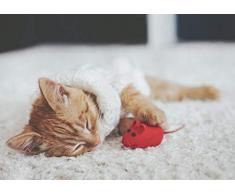 A1 | Adorable Chaton Poster Art Print 60 x 90 cm 180gsm Mur Mignon Décor # 13187