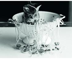Affiche 24x30 cm Chaton aux spaghetti / Kitten Spaghettis / KÃ¤tzchen mit Spaghetti REX INTERSTOCK