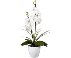 Orchidées Lumineuse Blanches (HO001) - Lumière - Fleur Lumineuse 60 cm de haut - Fleur artificielle mariage - Décoration intérieure
