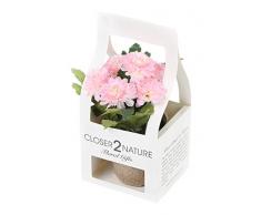 Closer To Nature FP002PC - Chrysanthème artificiel rose de 18 cm dans une boite décorative