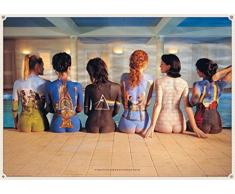 1art1 Pink Floyd Poster - Back Catalogue (91 x 61 cm)