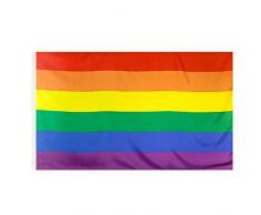 TRIXES Drapeau Arc en Ciel - Intérieur ou extérieur Drapeau Rainbow LGBT Gay Pride Festival Diversity Celebration 1,5 x 0,9 m