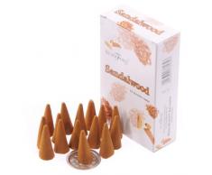 Stamford Cônes dencens - 37164 Bois de Santal