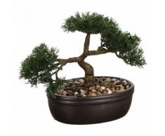 Bonsai Pot Ceramique H.23cm - Objet à poser