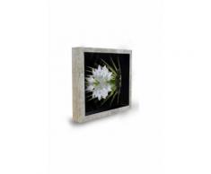 Tableau déco cadre vitrine 20x20 - Lotus zen - Décoration murale