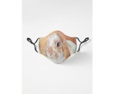 Casiers lapin Masque